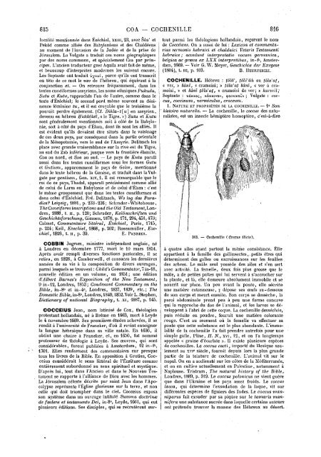 s dans les Saintes - Encyclopaedia Gentium Boni