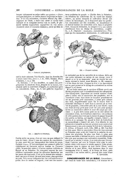 s dans les Saintes - Encyclopaedia Gentium Boni