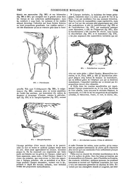 s dans les Saintes - Encyclopaedia Gentium Boni