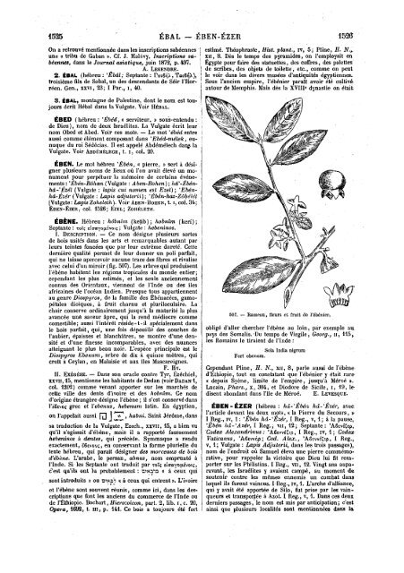 s dans les Saintes - Encyclopaedia Gentium Boni