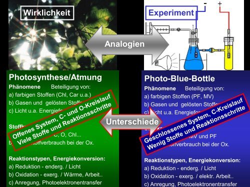 Experimente im Chemieunterricht - Chemie und ihre Didaktik ...