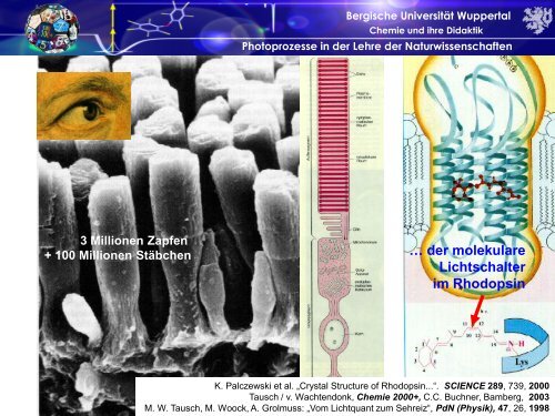 PDF-Dokument - Chemie und ihre Didaktik, Universität Wuppertal ...