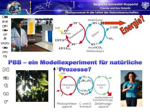 PDF-Dokument - Chemie und ihre Didaktik, Universität Wuppertal ...