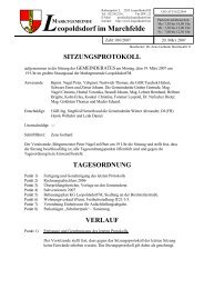 Protokoll der Gemeinderatssitzung vom 19.03.2007 - Die ...