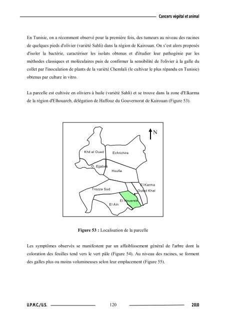 Synthèse de composés organométalliques et évaluation de leurs activités biologiques....