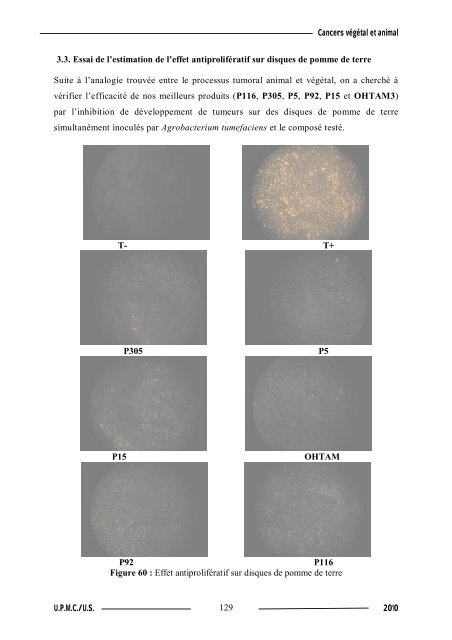 Synthèse de composés organométalliques et évaluation de leurs activités biologiques....