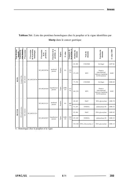 Synthèse de composés organométalliques et évaluation de leurs activités biologiques....