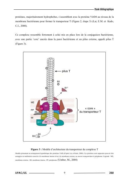 Synthèse de composés organométalliques et évaluation de leurs activités biologiques....