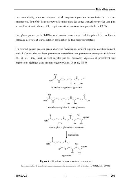 Synthèse de composés organométalliques et évaluation de leurs activités biologiques....