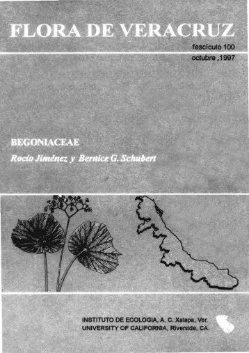 Begoniaceae - Inecol