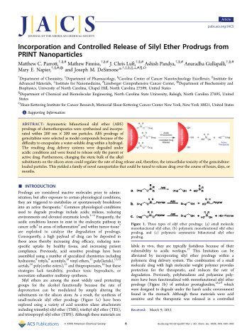 Incorporation and Controlled Release of Silyl Ether Prodrugs