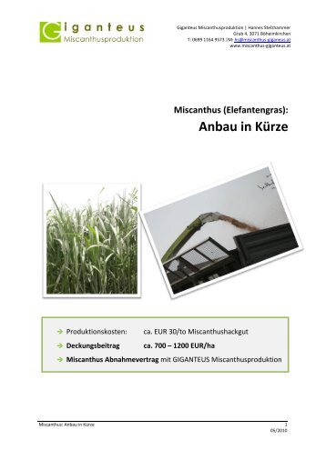 Anbau in Kürze - Miscanthus * Giganteus * Elefantengras ...