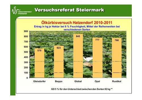 Der steirische Kürbis Ergebnisse der g mehrjährigen Versuche j g j g