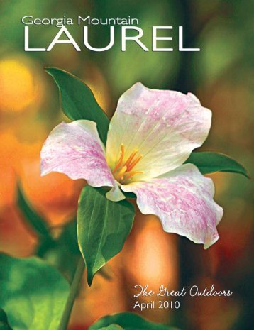 April 10 Book - Georgia Mountain Laurel