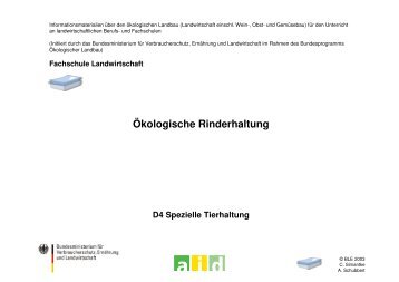 Ökologische Rinderhaltung - Oekolandbau.de