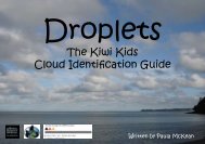 The Kiwi Kids Cloud Identification Guide - Science Education ...