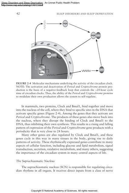 Sleep Disorders and Sleep Deprivation: An Unmet Public