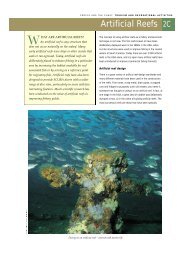 Artificial Reefs - South African Coastal Information Centre