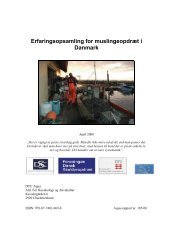 Erfaringsopsamling for muslingeopdræt i Danmark - DTU Aqua