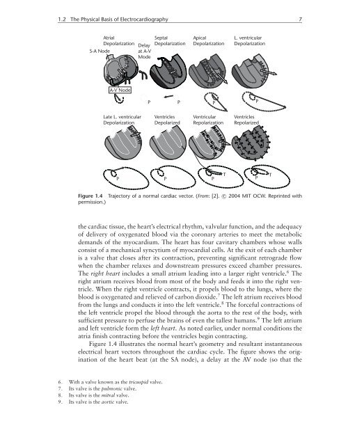 Physiological Basis of the Electrocardiogram