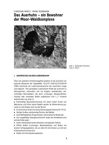 Das Auerhuhn – ein Bewohner der Moor-Waldkomplexe - KBNL