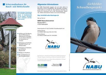 Präsentation des Schwalbenprojektes als PDF - Obereichsfeld - NABU
