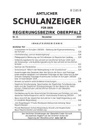 SchulanzeigerFebruar - Regierung der Oberpfalz - Bayern