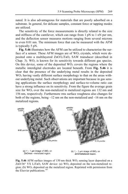 Nanotechnology-Enabled Sensors