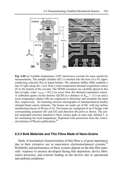 Nanotechnology-Enabled Sensors