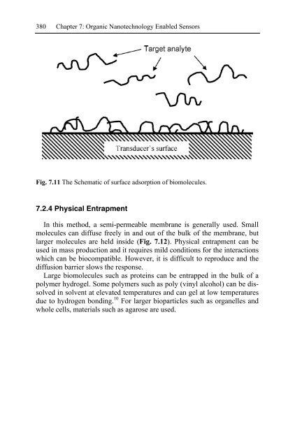 Nanotechnology-Enabled Sensors