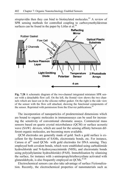 Nanotechnology-Enabled Sensors