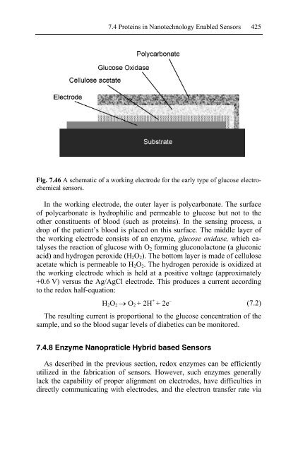 Nanotechnology-Enabled Sensors