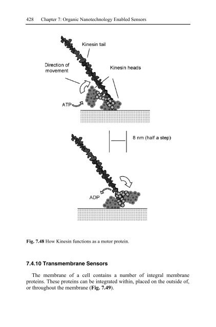 Nanotechnology-Enabled Sensors