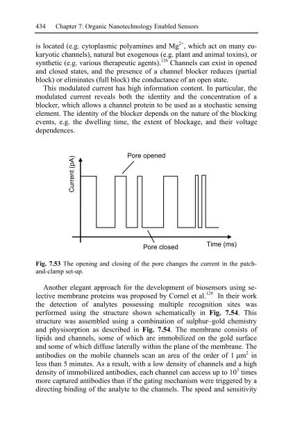 Nanotechnology-Enabled Sensors