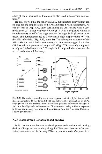 Nanotechnology-Enabled Sensors