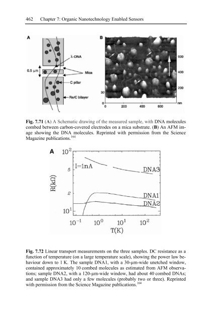 Nanotechnology-Enabled Sensors