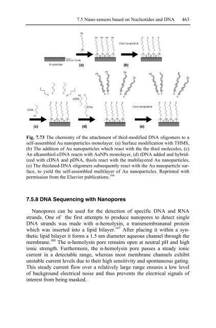 Nanotechnology-Enabled Sensors