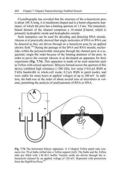 Nanotechnology-Enabled Sensors