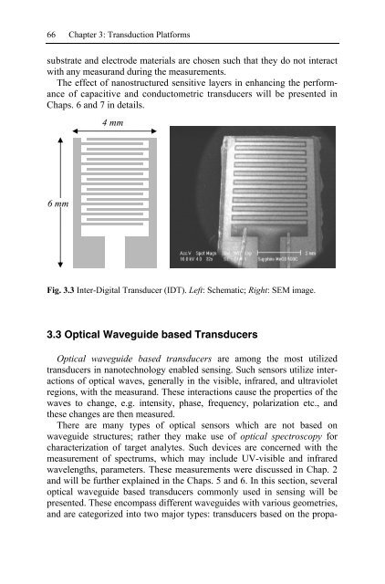 Nanotechnology-Enabled Sensors