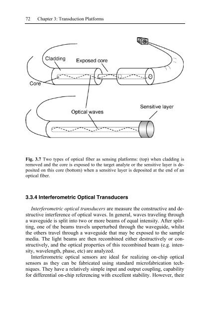 Nanotechnology-Enabled Sensors