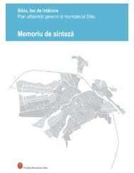 Memoriu de sinteza - Sibiu