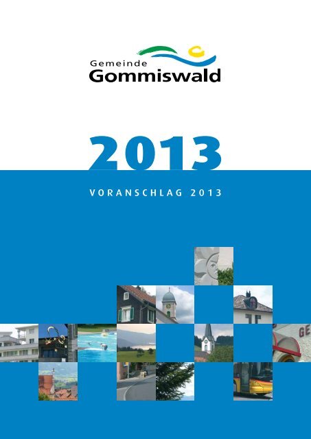 VORANSCHLAG 2013 - Gemeinde Gommiswald