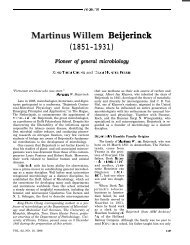 Martinus Willem Beijerinck (1851-1931)
