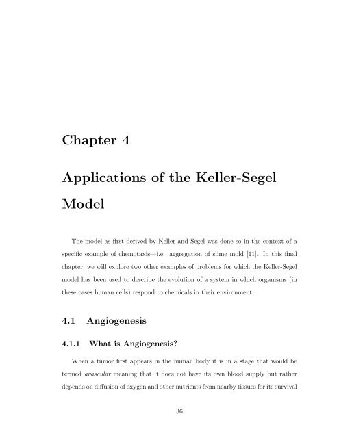 A SHORT COURSE IN THE MODELING OF CHEMOTAXIS