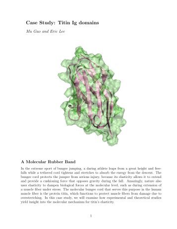 Case Study: Titin Ig domains - Theoretical Biophysics Group