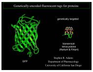 Genetically-encoded fluorescent tags for proteins - ITP at UCSB