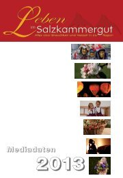 Mediadaten 2013 zum Download (PDF) - Leben im Salzkammergut