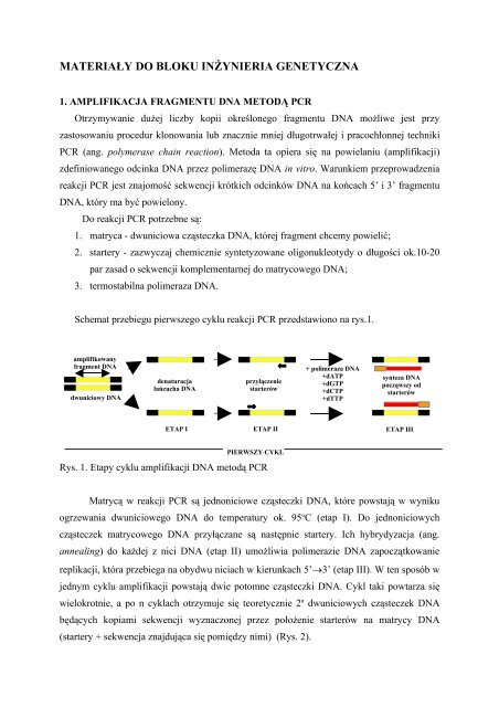 Skrypt - Blok3 - Instytut Genetyki i Biotechnologii UW