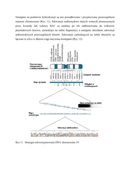 Skrypt - Blok3 - Instytut Genetyki i Biotechnologii UW