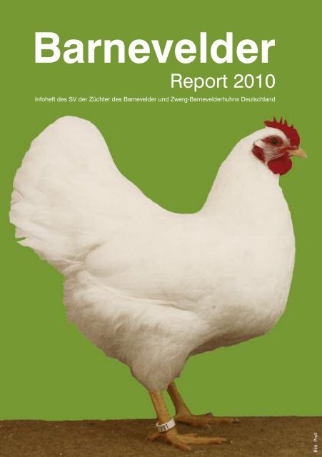 Barnefelder Report 2010 Sv Barnevelder